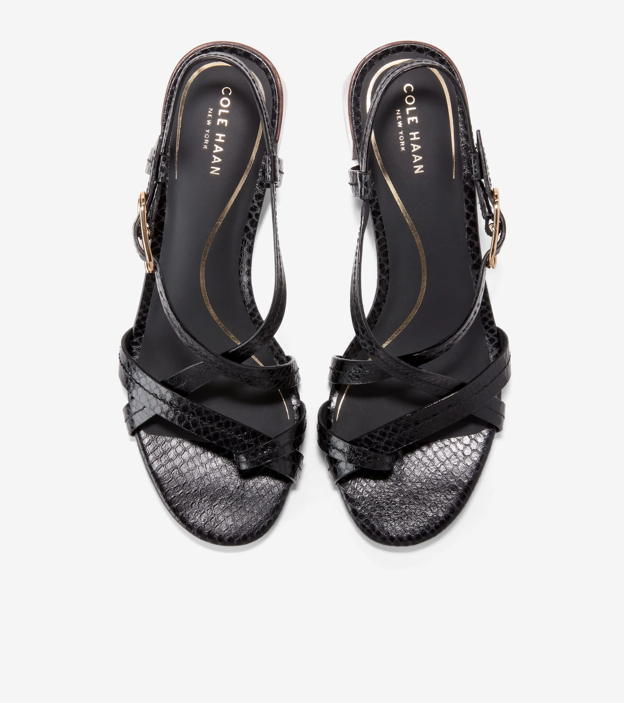 Women's Dillon Block Heel Thong Sandals - Image 4